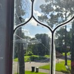 Glass Services in Spring, TX